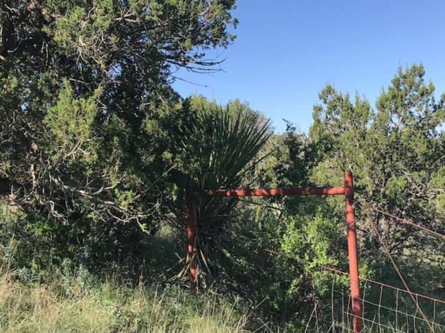 Cottonwood Creek Cabins - Alpine, Tx Kültér fotó